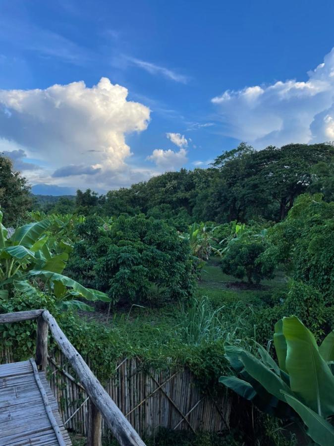 Chiang Dao Hostel المظهر الخارجي الصورة