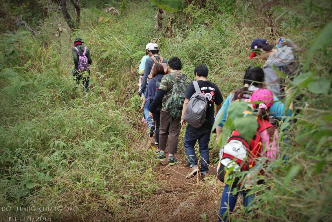 Chiang Dao Hostel المظهر الخارجي الصورة