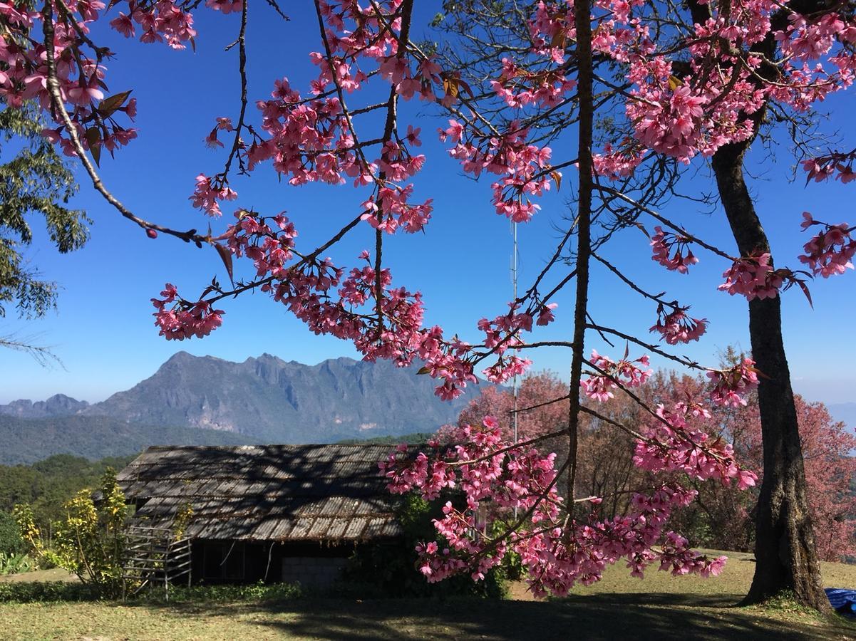 Chiang Dao Hostel المظهر الخارجي الصورة