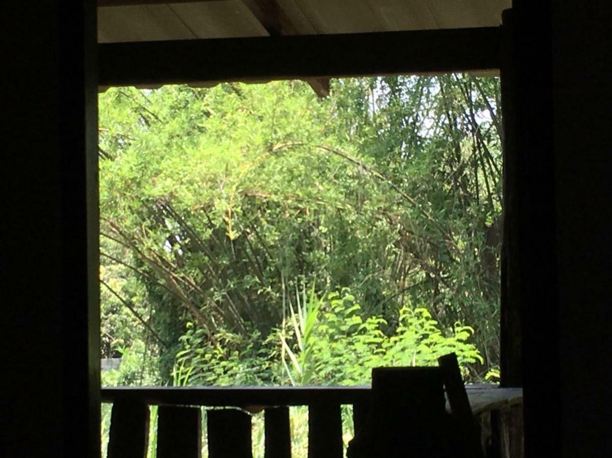 Chiang Dao Hostel المظهر الخارجي الصورة